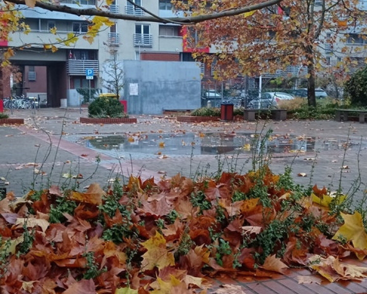 Mieszkanie Sprzedaż Wrocław Wrocław-Stare Miasto Pochyła